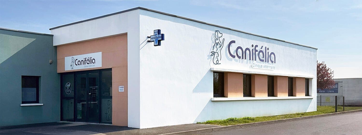 Canifelia